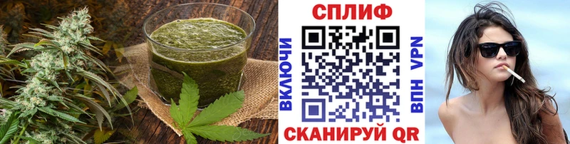 купить наркотики сайты  Щучье  Еда ТГК конопля 