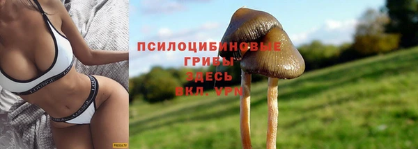 амфетамин Богданович
