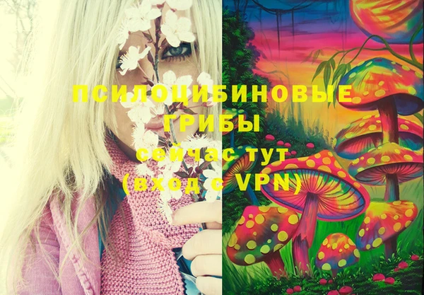 марихуана Богородицк