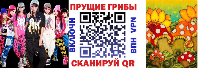 магазин    Щучье  Псилоцибиновые грибы GOLDEN TEACHER 
